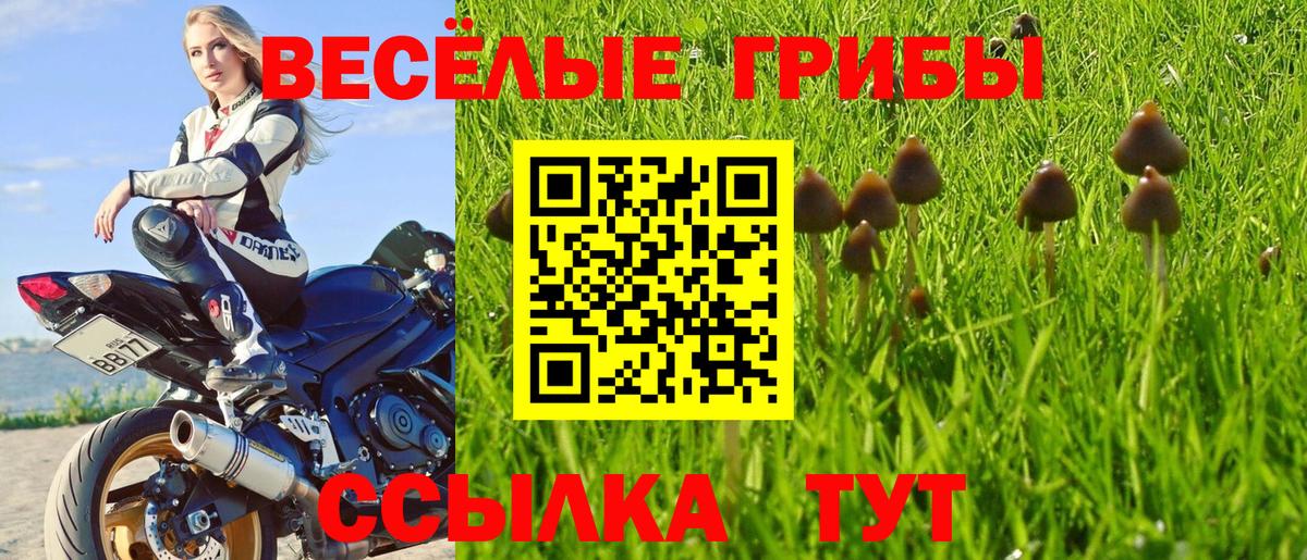 Псилоцибиновые грибы мицелий  Вход с VPN  Клинцы 