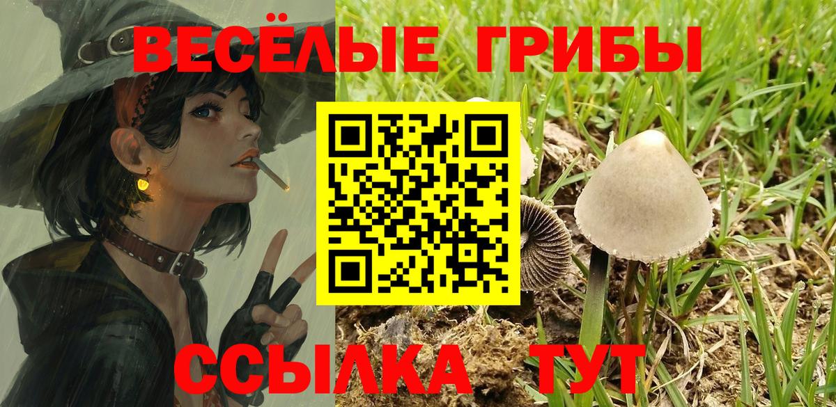 Галлюциногенные грибы ЛСД Клинцы