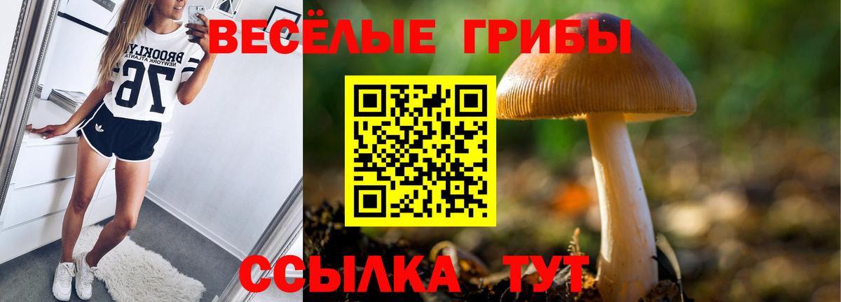 Меф кристаллы  Кетамин  Бошки Шишки  Вход с VPN  COCAIN  Наркошоп  Клинцы  Гашиш 